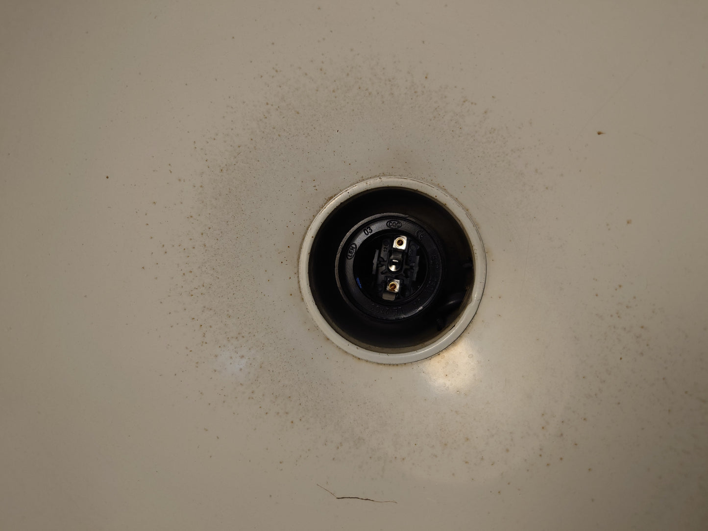 Custom Order For Steven